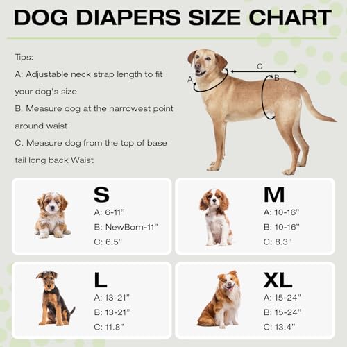 Image of 3 Pack Washable Female Dog Diapers with Adjustable Suspender, Reusable Sanitary Panties for Dogs in Heat, Leak-Proof Design for Small Dogs