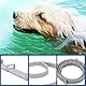 NHQZ 2 PCS Sicherheits-Leuchthalsband für Hunde und Katzen | bis 8 Monate Schutz | Größe individuell anpassbar, Fluoreszierendes Halsband universell auf Jede Größe verstellbar