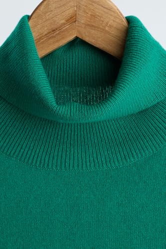 Image of JENNIE LIU Women's 100% Pure Cashmere Long Sleeve Pullover Turtleneck Sweater