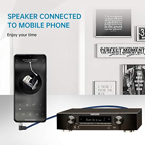 Ggmty Rca To 3.5Mm Aux Cable 10Ft Braided 3.5Mm Male To 2Rca Male Stereo Y Splitter Rca Cable. For Smartphones, Mp3, Tablets, Speakers,Home Theater,Hdtv #TOP5