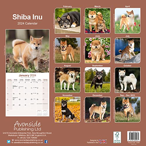 Shiba Inu Calendar 2024 | Square Dog Breed Wall Calendar - 16 Month - Image 2