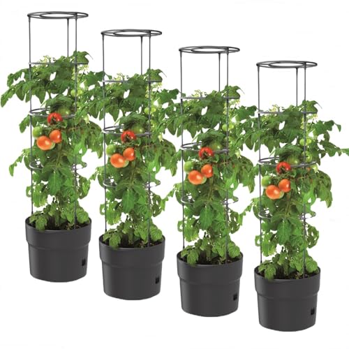 BirnePower 4X Tomatentopf Blumentopf Tomatenkübel 28L Topf für Tomatenpflanzen Tomatenzüchter mit Wasserspeicher Pflanzkübel mit Rankhilfe Rangitter Ø 40 cm H 153 cm