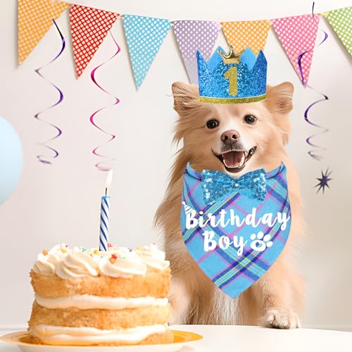 Suministros para fiesta de cumpleaños de perro, sombrero y bandana miniatura 2
