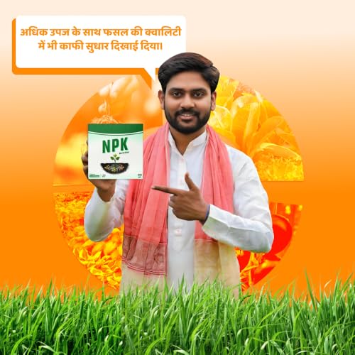 Image of IFC NPK Bacteria - NPK Solubilizing Bacteria Fertilizer 500gms | Increase Soil Nutrients |100% Organic, Perfect to use on All Plants and Gardening