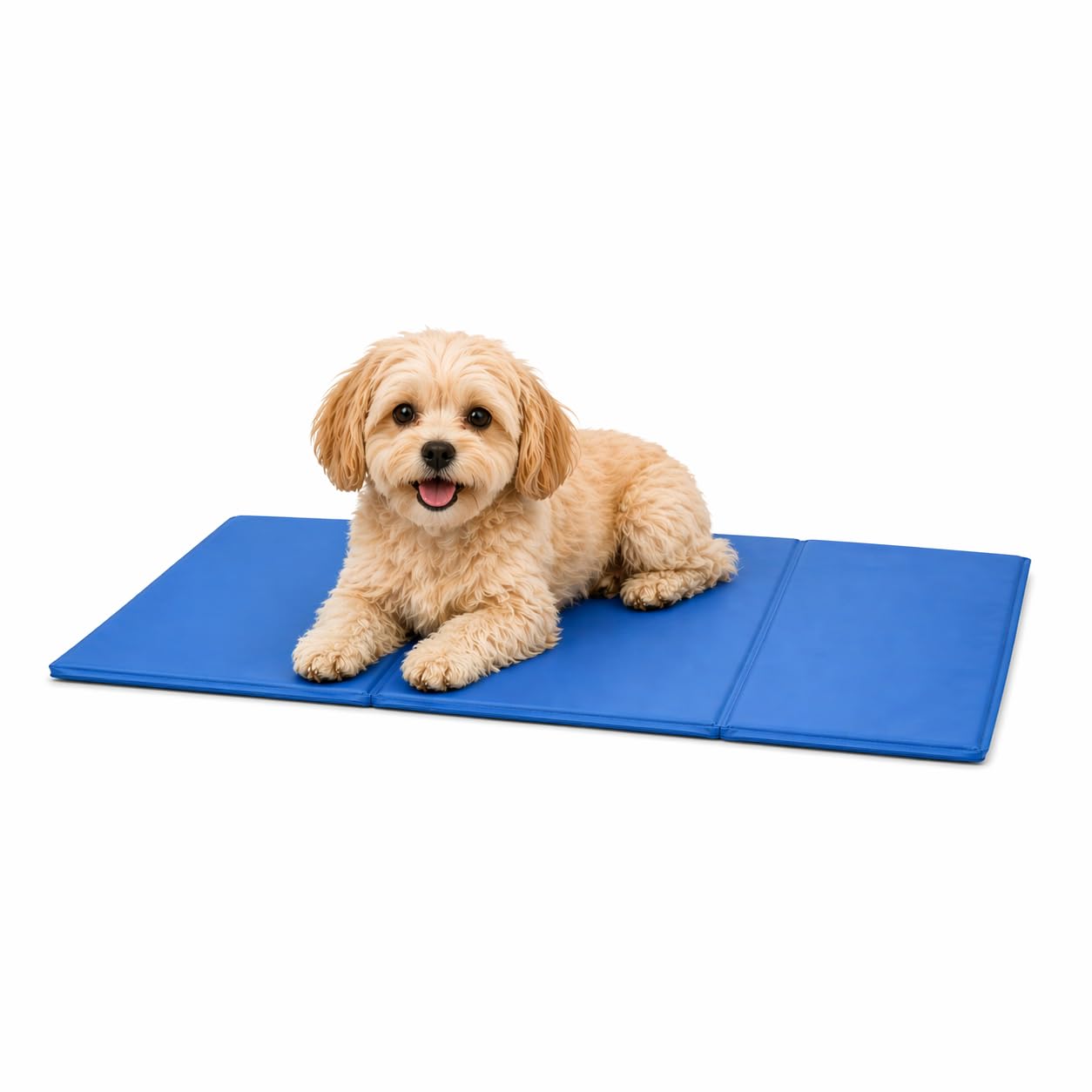 Cooling Mat for Pets 50 x 40 cm – Coolbed – Self-Cooling – Large Dog Bed – Mat – Dog Bed – Summer Dog Bed – Waterproof Mat – Cooling Dog Bed – Dog Beds