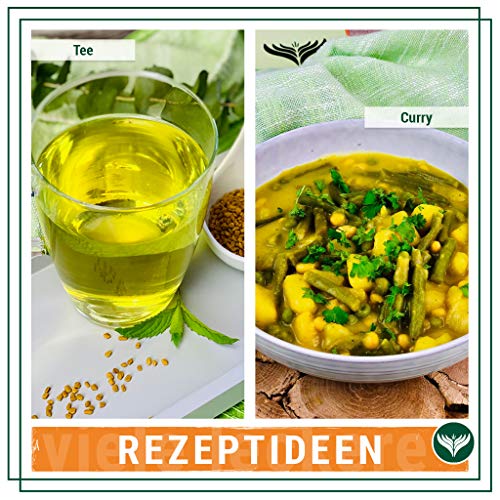 Foto von Azafran BIO Bockshornklee gemahlen - Bockshornkleepulver 250g