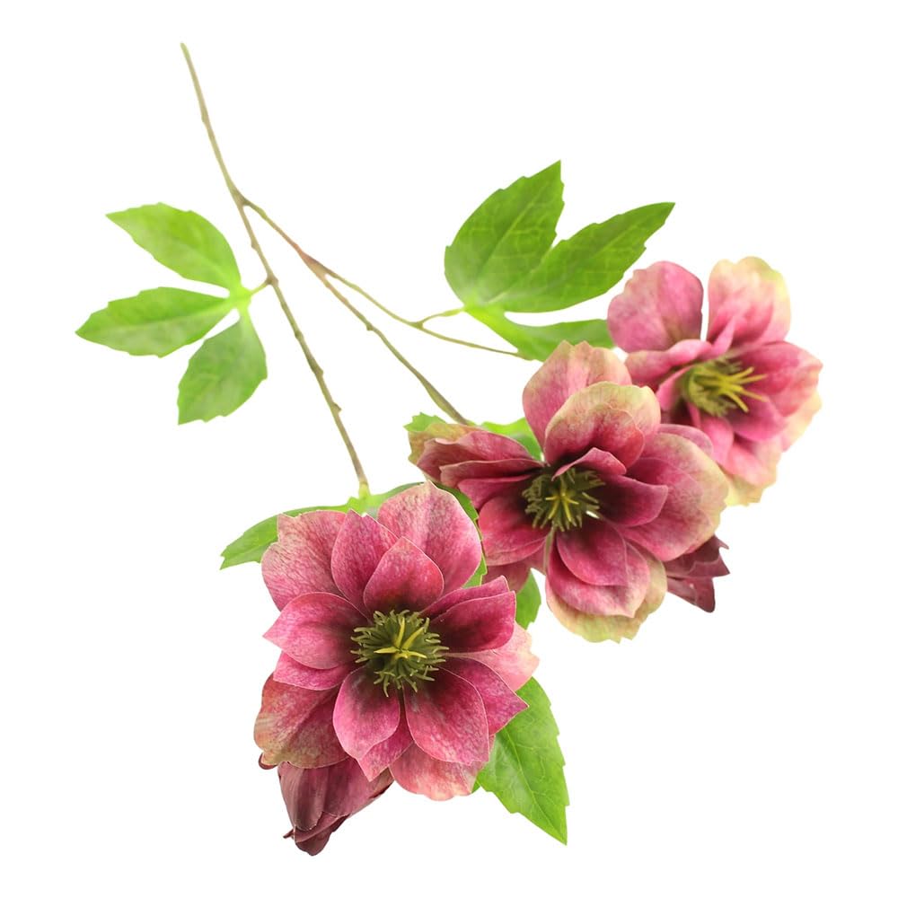Floristrywarehouse Burgundy Faux Silk Hellebore Helleborus Spray 64Cm/25 Inches Tall