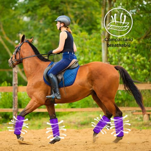 Image of Fly Boots for Horses Set of 8 Breathable Mesh Design Protection from Insect Pests for Reduce Stomping, Hoof Damage & Leg Fatigue (Purple-Green, Large)