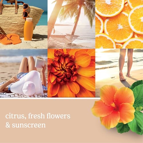 Image of Yankee Candle Sun and Sand ScentPlug Refill 4-Pack