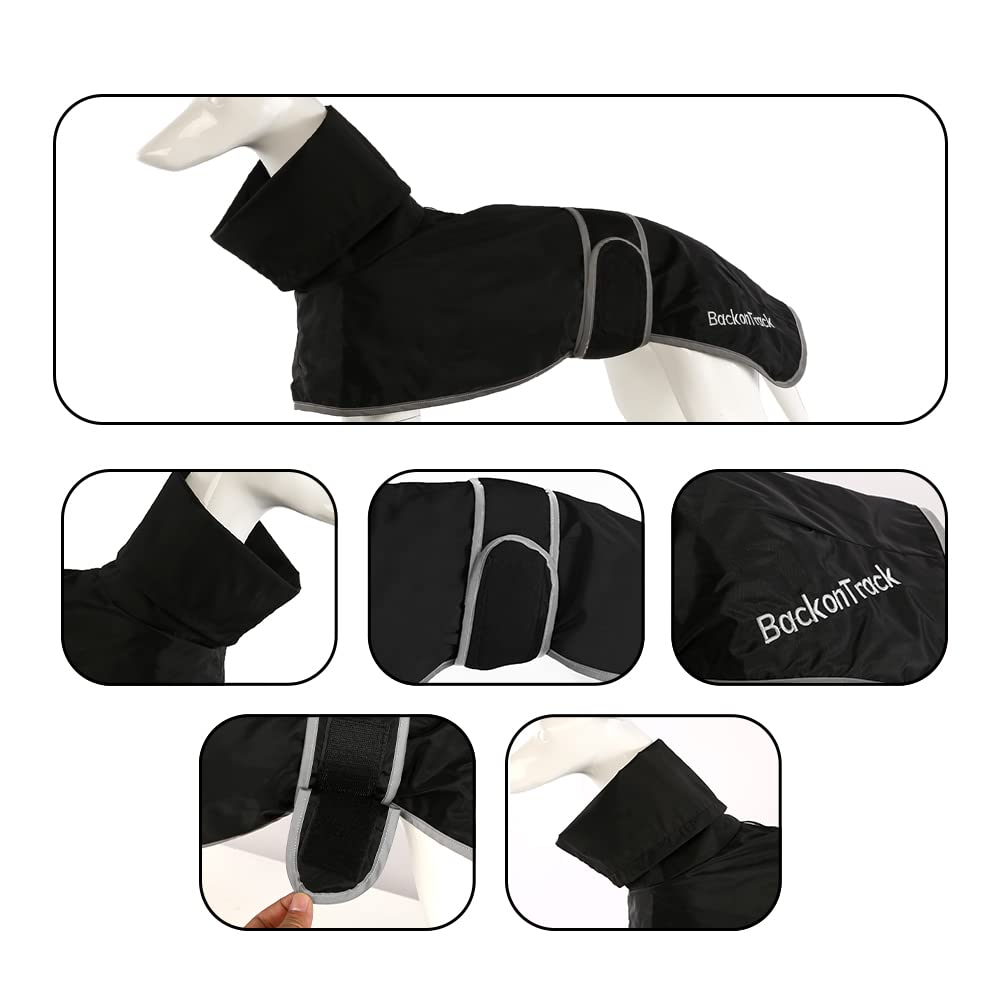 Leichter Whippet-Regenmantel, Windhundemantel, wasserdichter Sommer-Winter-Hundemantel für mittelgroße und große Hunde (Größe M, Schwarz)