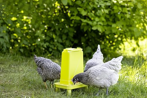 Kerbl Hobbyfarming Futterautomat mit Standfüßen, Automatische Futterzufuhr, Inkl. Standfüße, Abnehmbarer Deckel, Wetterbeständig, Leichte Reinigung, Transparenter Behälter, Für Geflügel, 5,5l, grün