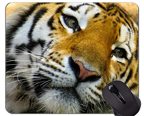 YENDOSTEEN Cojín de ratón del Tigre del Animal Salvaje, Alfombrillas de ratón Animales con los Bordes cosidos