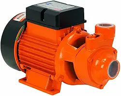 Intech Machine Bomba D'Água Periferica 1Hp Bp1000 (Bivolt)