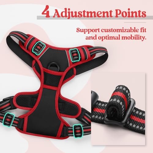 Image of rabbitgoo Dog Harness No Pull with 2 Leash Clips, Adjustable Soft Padded, Reflective Oxford No Choke Pet Vest with Easy Control Handle for Large Dogs, Black & Red, XL