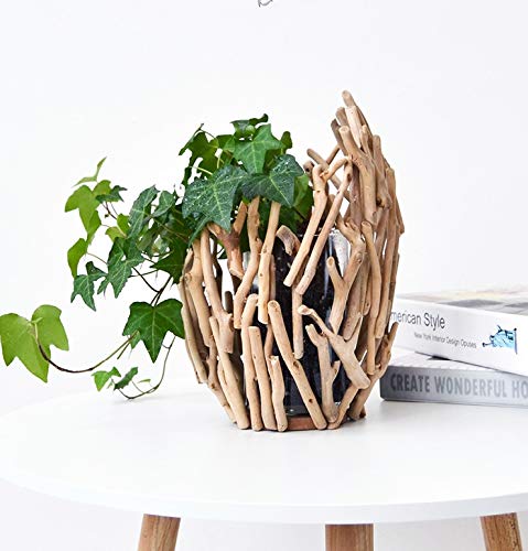100% Handwork Natural Driftwood Wooden Decoration Vase with Hydroponics GlassJar - Image 6