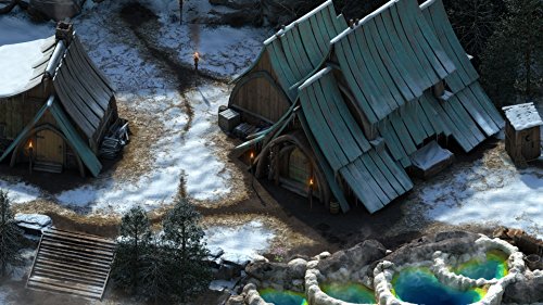 Pillars of Eternity Expansion Pass Code Steam PC Mac complet - 6