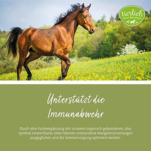 tierlieb Selen-Tabletten für Pferde | Mit Vitamin E | ADMR-konform | Diät-Ergänzungsfuttermittel | 500 Tabletten