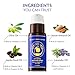 Ancient Greek Remedy Foot Cream for Dry Cracked Heels and Feet — Organic Moisturizing Cracked Heel Treatment for Women and Men - Intensive Repair Foot Lotion with Natural Ingredients