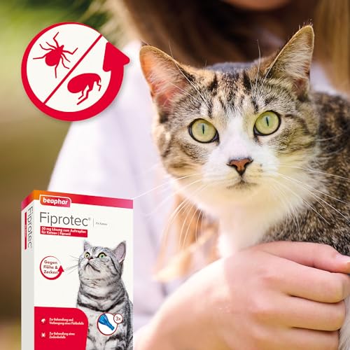 BEAPHAR - Fiprotec 50 mg Lösung Zum Auftropfen Für Katzen - Ab 8 Wochen - Schützt 5 Wochen Gegen Flöhe - 3 Pipetten