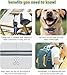 DOTSTAR Wireless Dog Fence Training Collar 2-in-1 Pet System, 5000ft Adjustable Control Range, Waterproof Rechargeable Training Collar, Pet Electric Containment System for Large Medium Dogs