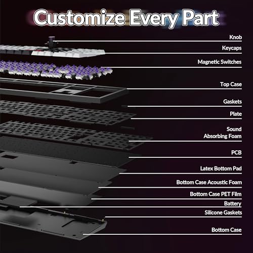 Keychron Q6 HE Wireless Custom Mechanical 100% Full Keyboard, 2.4 GHz/Bluetooth/Wired QMK Rapid Trigger Hot-Swappable Programmable Gateron Double-Rail Magnetic Switches for Mac Windows, Carbon Black