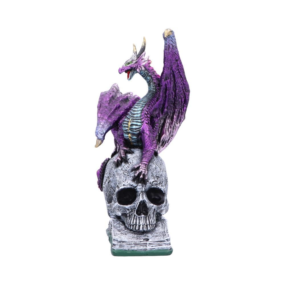 Nemesis Now Drachenstatue aus Kunstharz – handbemalte Drachenfigur auf metallischem Totenkopf und Buch – Geschenke und Dekoration für Fantasy-Liebhaber – Titans Reign