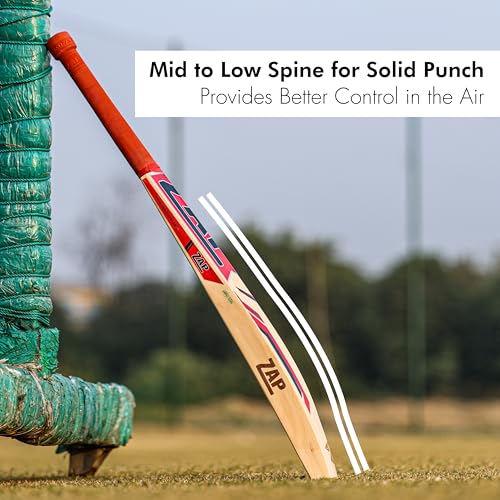 Image of ZAP Instinct Kashmir Willow Cricket Leather Bat(Size - H - 32.7Inches) | Professional Season Bat for Leather Ball | Singapore Cane Handle | Ring Grip | Shock-Absorbing Design | Free Cover