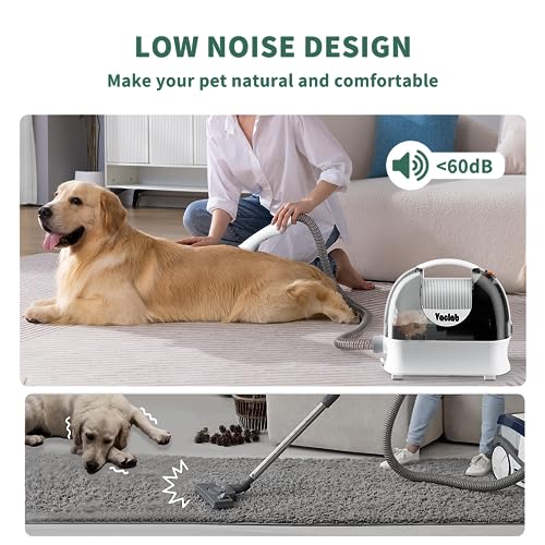 VACLAB Dog Vacuum for Shedding Grooming, 3L Large Dust Cup Pet Grooming Kit with 5 Pet Grooming Tools, Professional Dog Clippers Vacuum Suction 99% Hair, Low Noise Pet Grooming Supplies for Dogs Cats