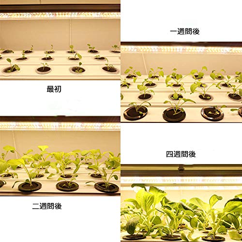 Esbaybulbs 植物育成ライト 暖色系 60W 長さ120CM 三本セット フルスペクトラム T8LED器具一体型直管蛍光灯 の商品画像 3