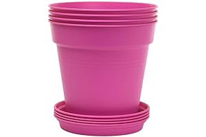 Mintra Home Garden Pots: Burst of Colors for Your Greenery