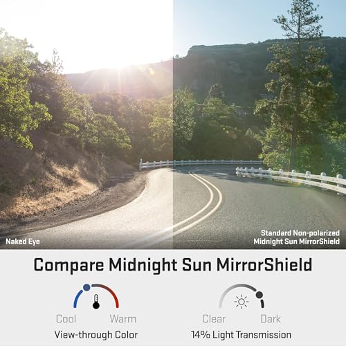 Image of Revant Replacement Lenses for Wiley X Saint