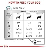 Royal Canin Sensitivity Control | 12 x 410 g | Feuchtnahrung für ausgewachsene Hunde | Mit Ente und Reis | Kann dabei helfen das Risiko für allergische Reaktionen zu reduzieren