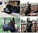 SpeesY Maulkorb für Hunde, groß, Leder & Metall, für Deutscher Schäferhund, Labrador, Rottweiler, belüftet, verstellbar