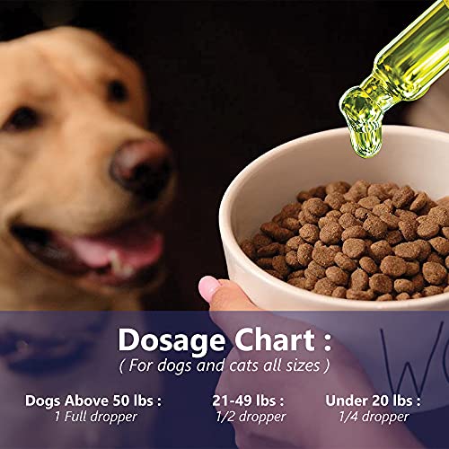 Billion Pets Hemp Oil For Dogs And Cats - Hip And Joint Pain - Calming Drops For Pets #TOP5