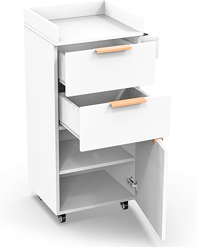 Miniatura 1 de OmySalon Carrito de salón con ruedas, 2 cajones y 1 armario de almacenamiento, carrito de salón para estilista, estación de peinado portátil para