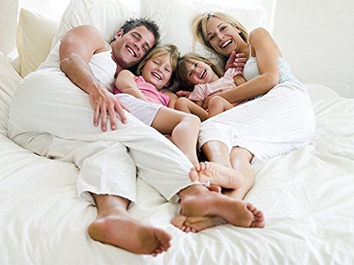 Singh's Textiles 450 -Thread-Count Egyptian Cotton Zipper Closure 5-Piece Duvet Cover Set (1Piece Duvet Cover & 4 Piece Pillow Shams) Emperor Solid White #TOP1