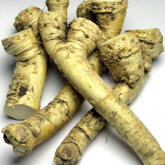 Amazon | 蝦夷山わさび 北海道産 西洋わさび 300g ホースラディッシュ