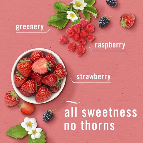 Image of Febreze New & Improved Air Mist, Berry & Bramble Air Freshener, Home and Kitchen Essentials, Odor Fighting Room Spray (Pack of 6)