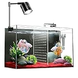 iPriro Fish Tank, 3 Gallon Ultra-Clear G...
