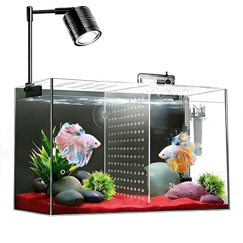 iPriro 3-Gallon Glass Fish Tank with Filter & LED Light