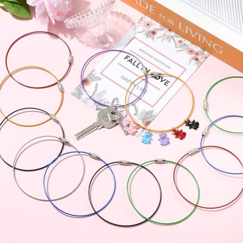 Image of SUNNYCLUE Stainless Steel Loops Wire Keychain Cable Large Key Rings Key Chain for Luggage Tags Key Tags Keyrings Kitchen