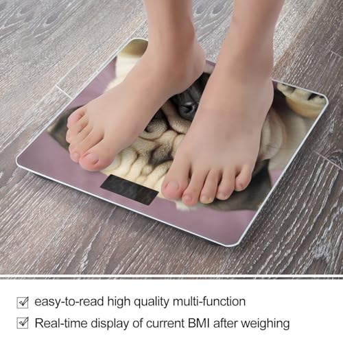 Báscula digital para baño Pug vidrio templado LCD miniatura 5