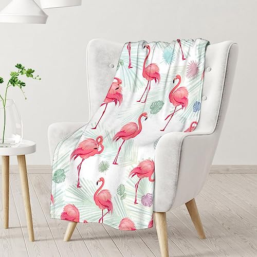 Flamingo Blanket Gifts - 30x40 Inches Cute Throw for Women & Girls - Pink Soft Fuzzy Blankets for Couch & Office