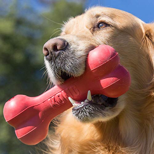 KONG Goodie Bone - Klassischer Hundeknochen aus Naturkautschuk - Leckerlispender - Für Mittelgroße Hunde - Rot