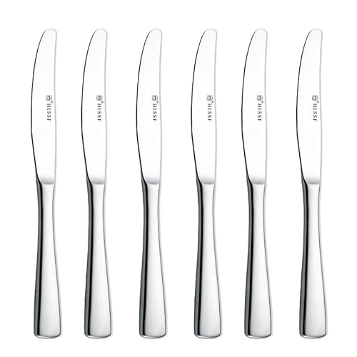 HISSF Dinner knife 6 Pieces Stainless Steel Butter Knife Set,