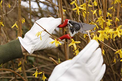 Spear & Jackson 6459BS Razorsharp Bypass-Gartenschere für Linkshänder, Rot