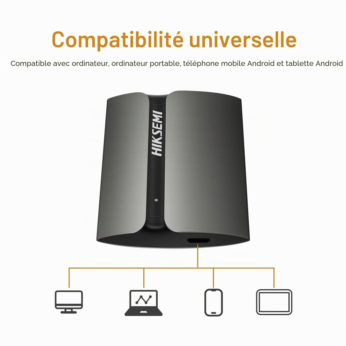 HIKSEMI SSD Externe Portable 2TO, Vitesse de Lecture jusqu'à 560 Mo/s, USB 3.1/Type C Ultra Mince Disque SSD Externe pour PC/Laptop/Tablets/Smartphones (Gris) - T300S