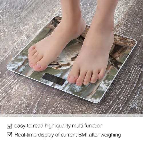Báscula de baño digital con pantalla LCD 400 lb miniatura 5