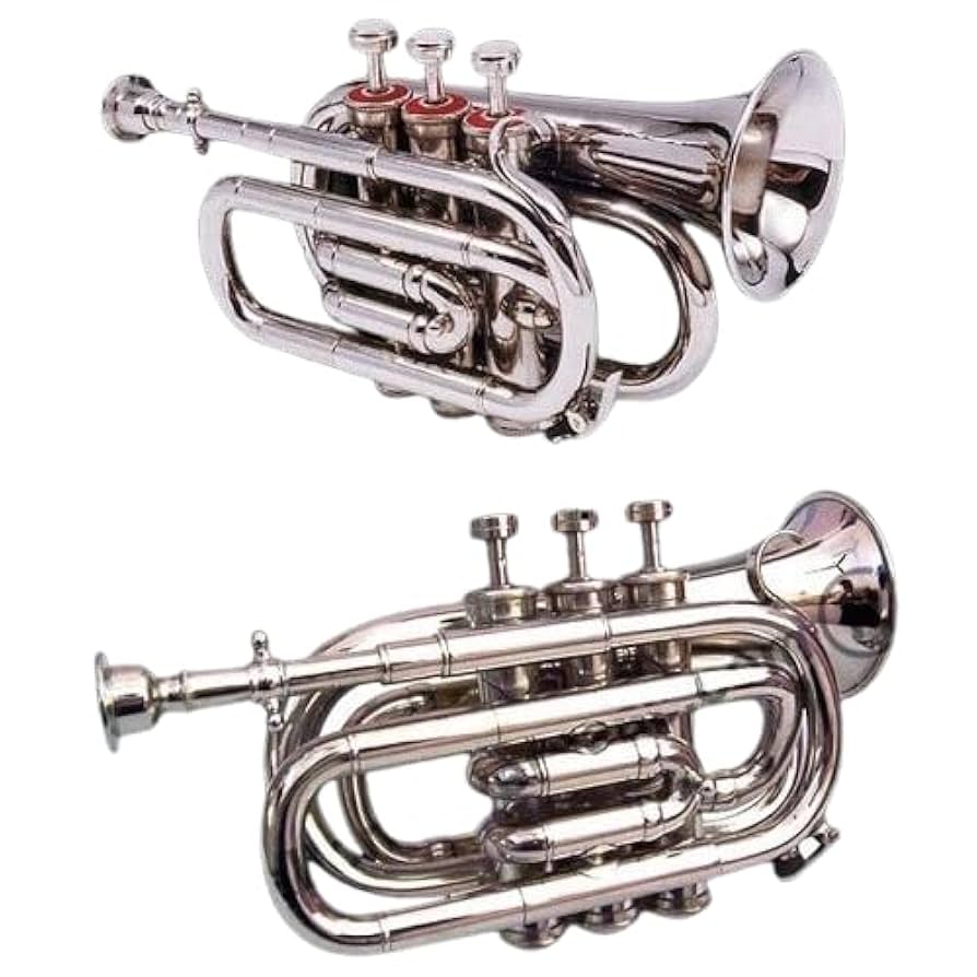 SPLENDOR ポケットトランペット Yahoo!オークション -「splendor」(トランペット) (管楽器)の