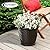 Suncast Sonora 18 Inch Lightweight Durable Plastic Wicker Decorative Flower Planter Pot for Yard, Garden, Indoor or Outdoor Use, Brown